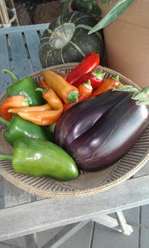 basket with capsicums, chillies and eggplants