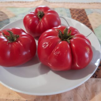 Pomonal Tomato