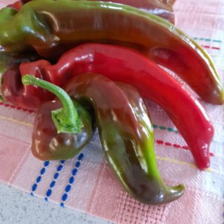 Palermo Long Red Italian Capsicum